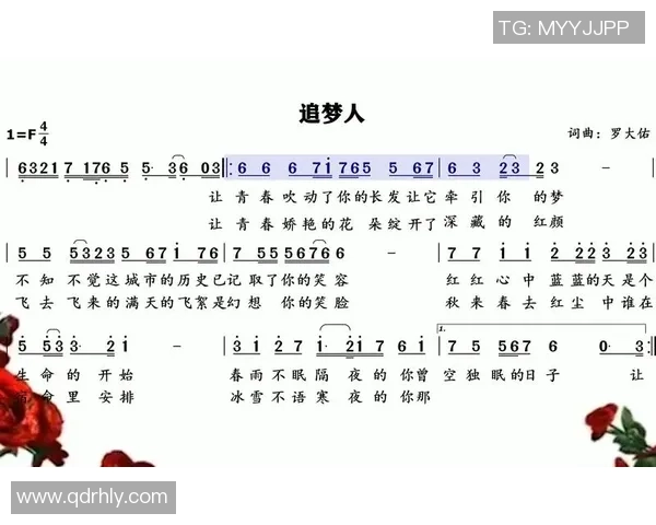 《追梦之足:日本女足球星的成长与奋斗纪录》 《追梦之足:日本女足球星的成长与奋斗纪录》