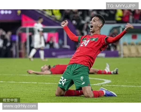 外国人眼中的足球球星评析：从全球视角看球员的荣耀与挑战